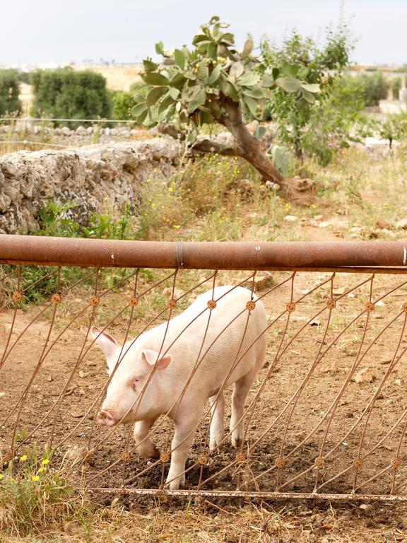 Masseria Curatori Monopoli Eksteriør bilde